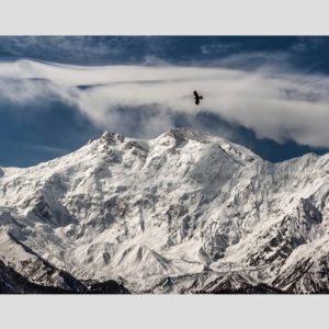 “Rescue on the Killer Mountain” – in Outside