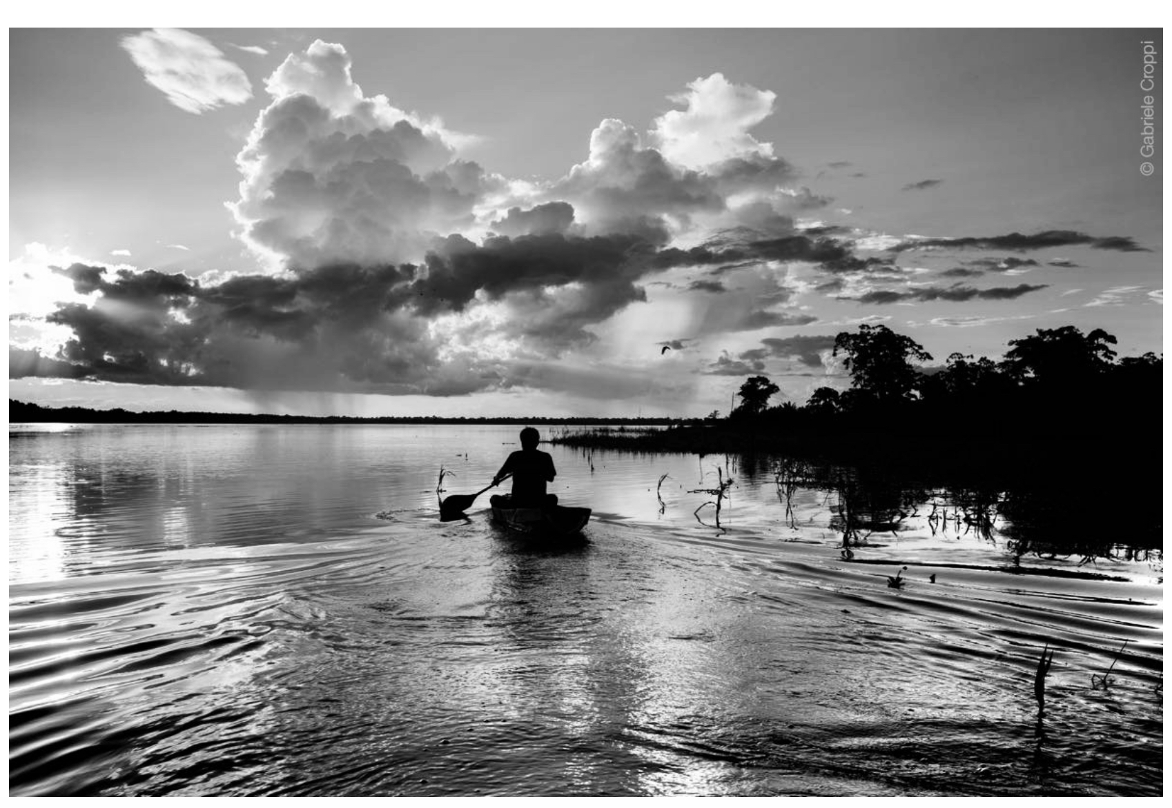 Amazon in black and white