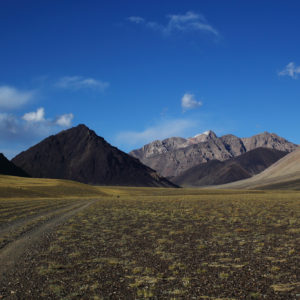 Race Across Krygyzstan Destroys Most Riders