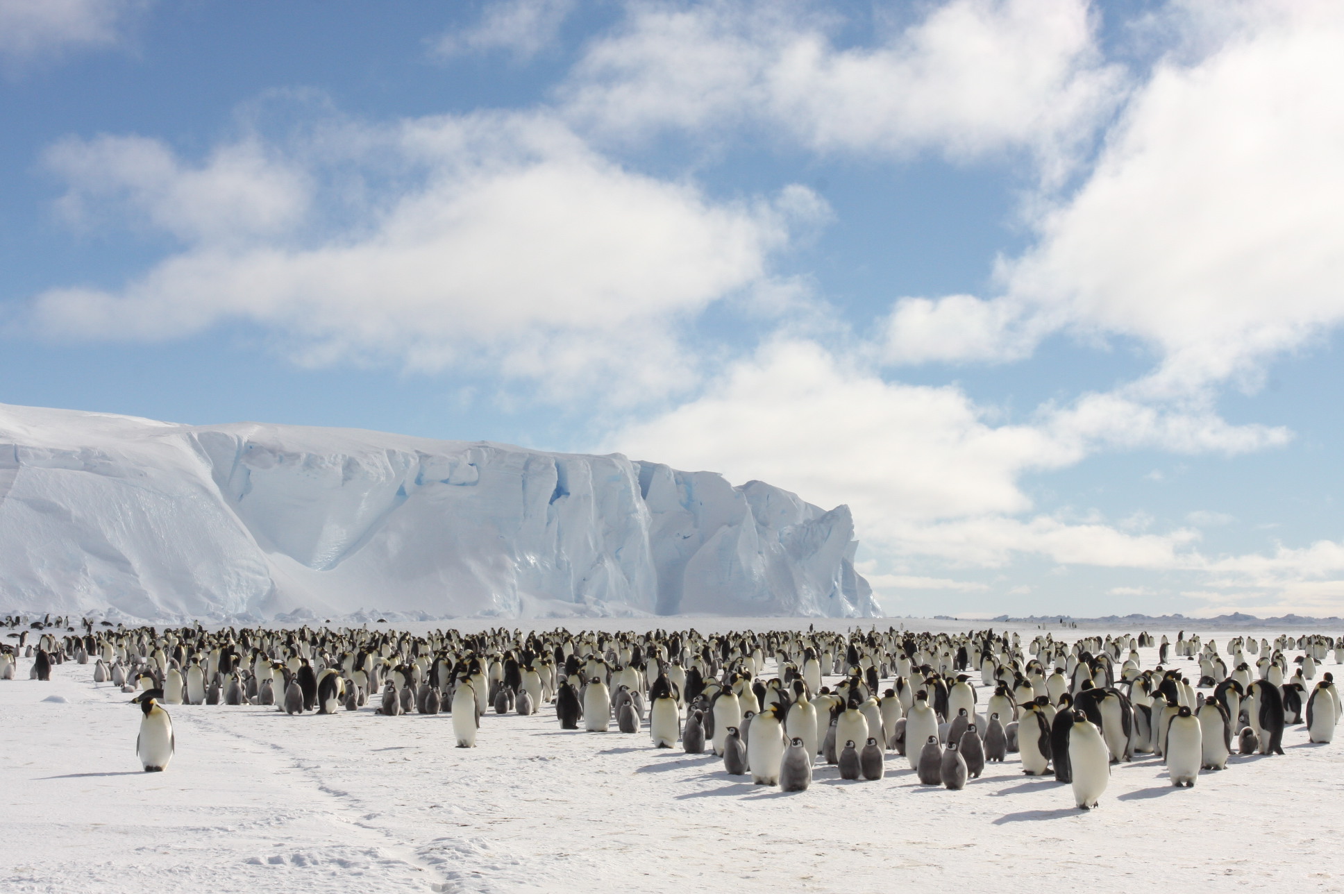 ALE: Antarctica in Pictures » Explorersweb