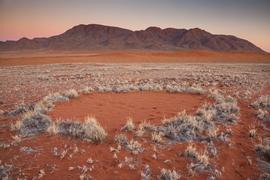 namib desert fairy circles        
        <figure class=