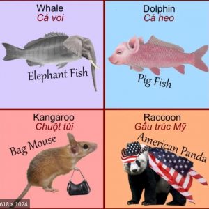 From Sewage Mouse to God Goose: Vietnamese Animal Names