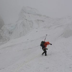 Biarchedi I: Exploring a New Route