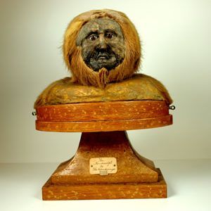 Eccentric Explorers: Charles Waterton