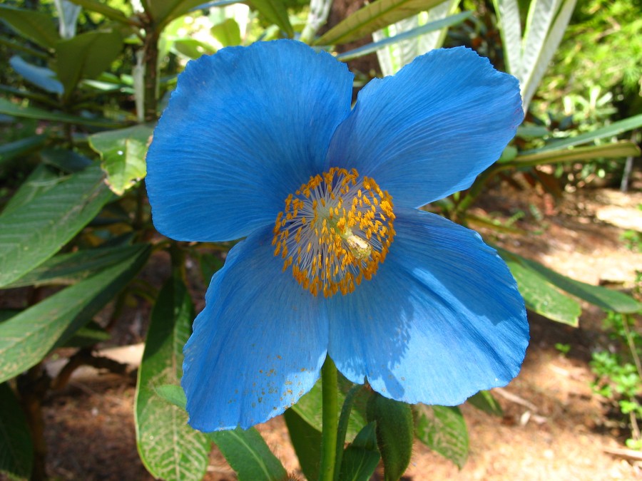 http://explorersweb.com/