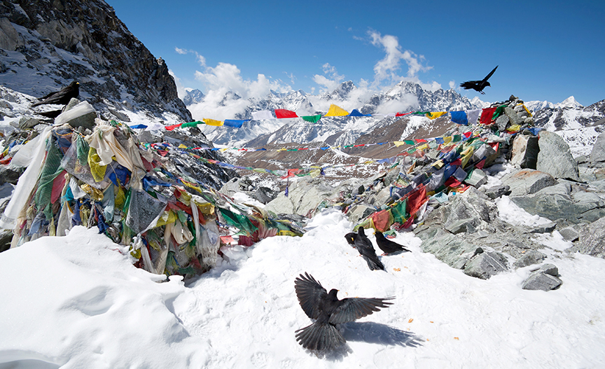 Mount Everest: Everything You Wanted to Know » Explorersweb