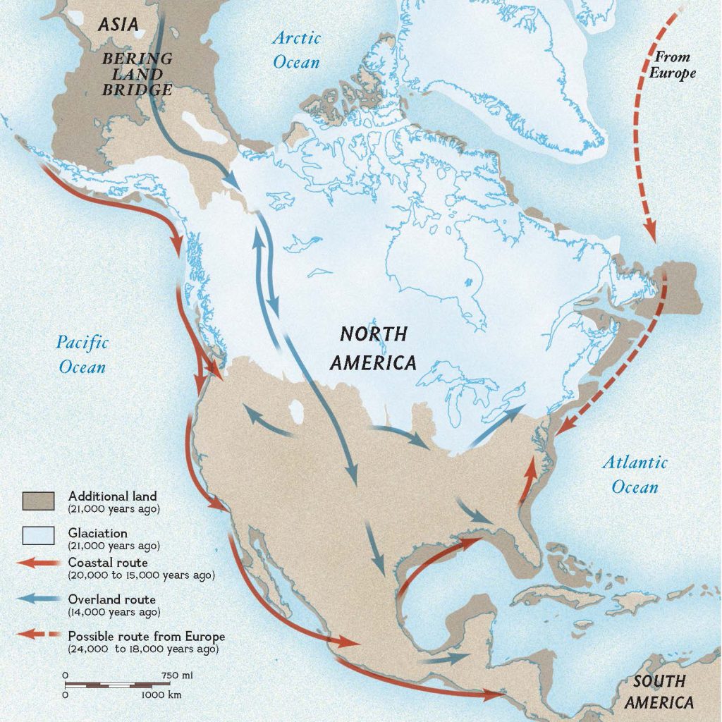 A depiction of migration patterns according to the Kelp Highway hypothesis. Image: National Geographic