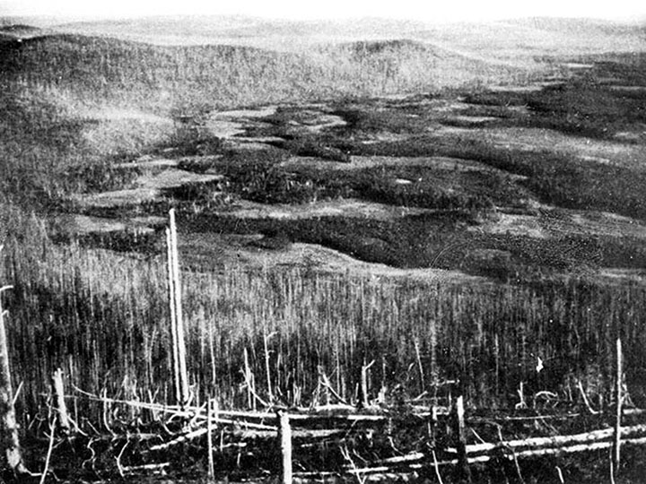 The epicentre of the Tunguska event, c.1908. Photo: Tungussky Nature Reserve, Russian Geographic Society