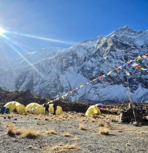 yellow tents and Annapurna's base camp in the sunshine