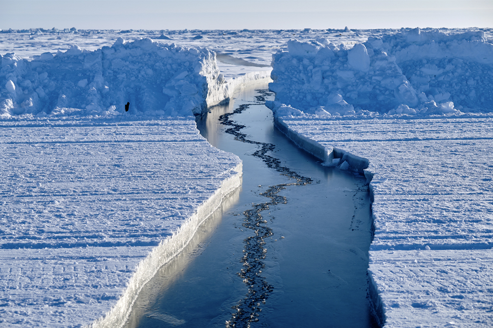 A lead forms in the sea ice in the middle of Barneo's airstrip.