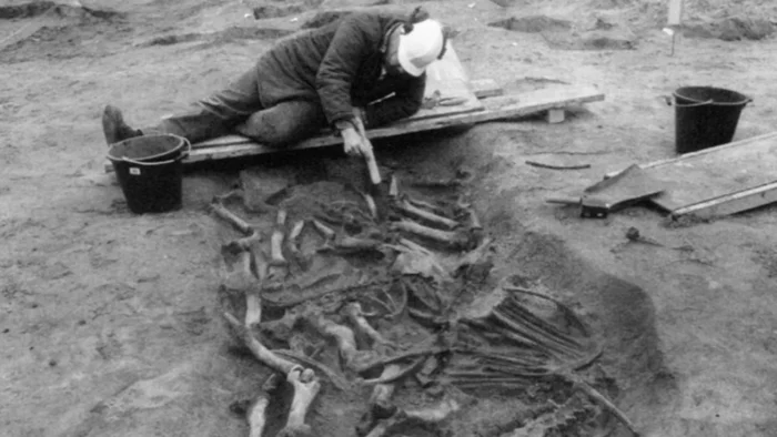 man digging in a pit of bones
