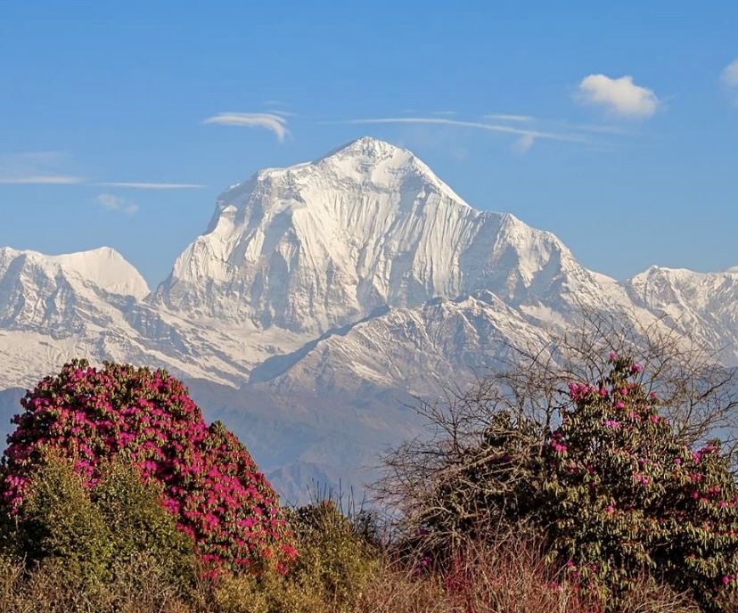 The south face of Dhaulagiri I.