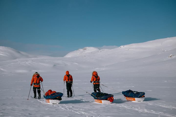 3 sledders in a snowy arctic scene