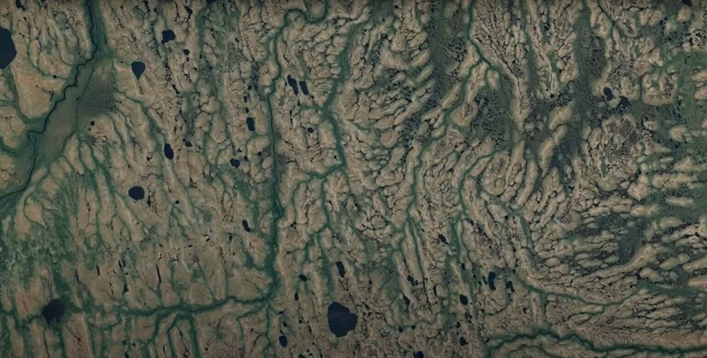 aerial of swamp
