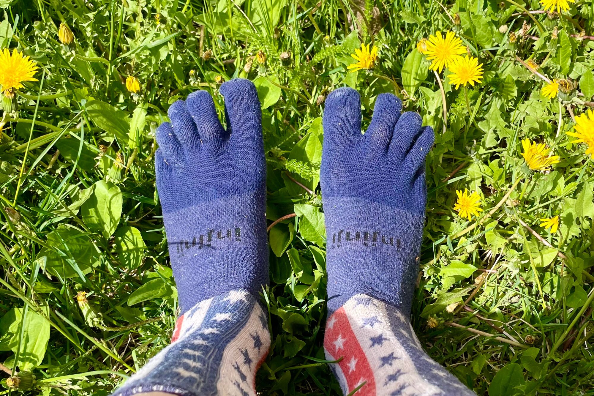 A hiker's feet are showne wearing Injinji toesocks on a grassy background with dandelions.
