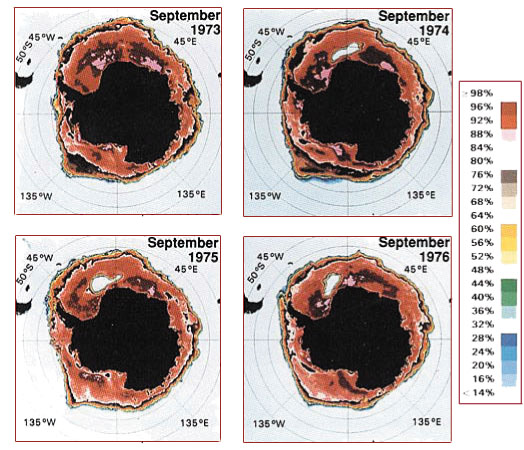 four satellite images of the maud rise polynya arranged in a grid