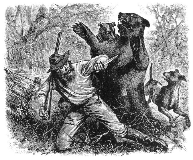 a bearded man fights a bear