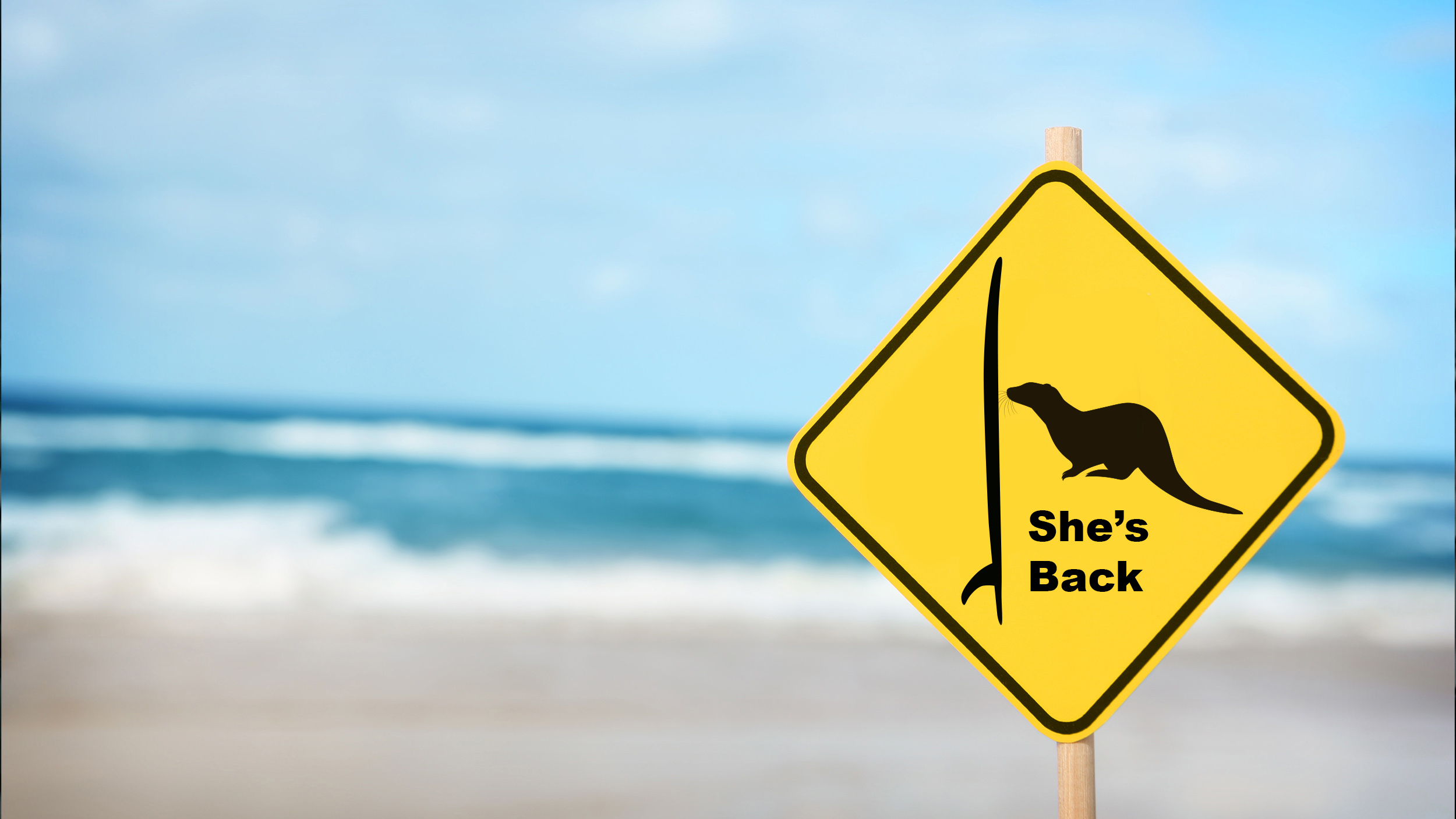 a sign at the beach with a surfboard and an otter. Text reads "she's back"