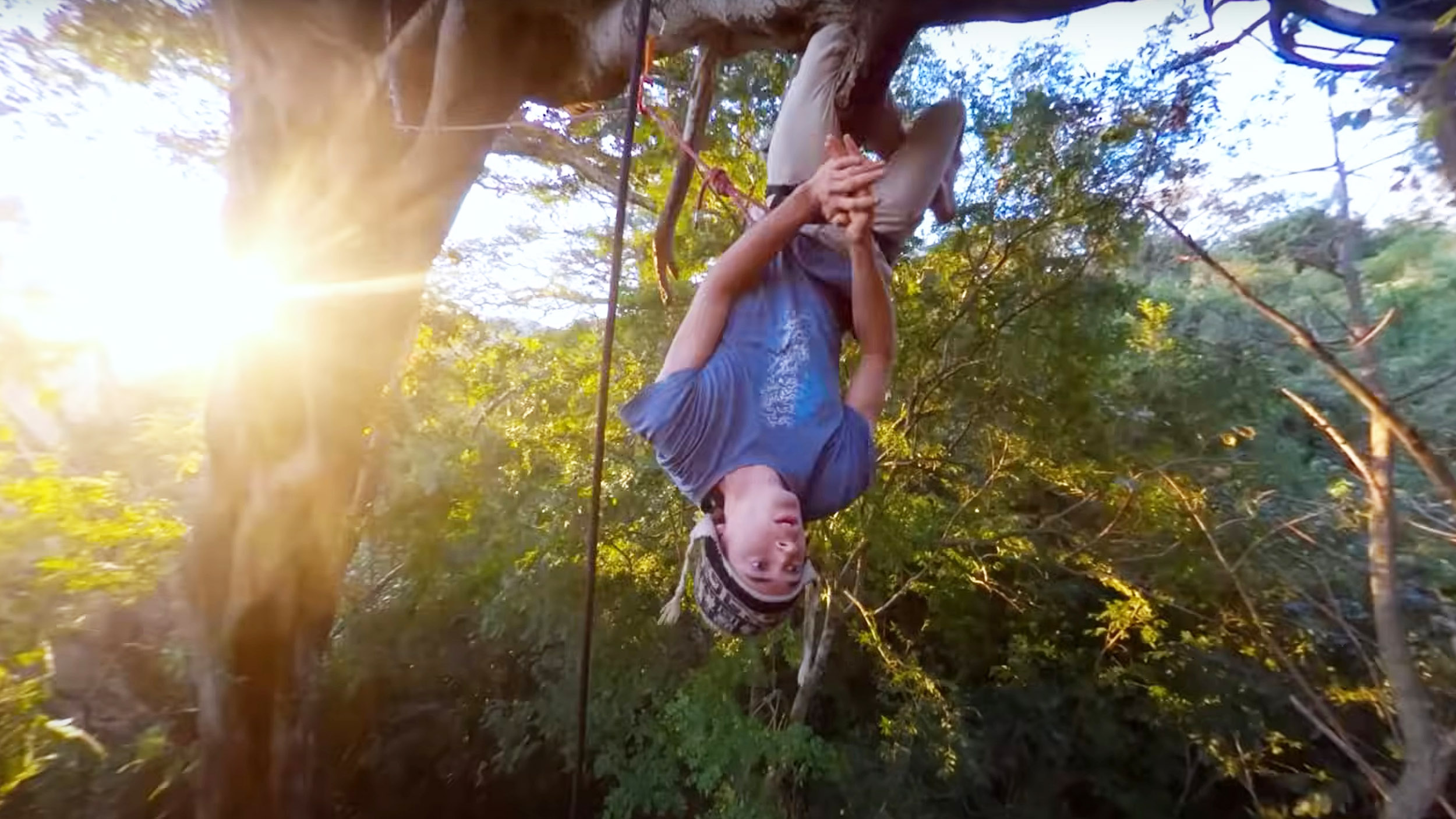 a man climbs a tree