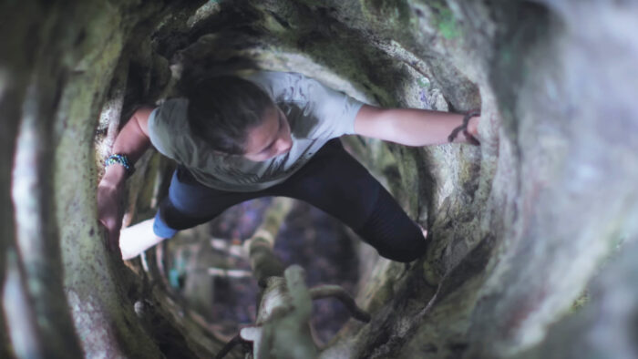 a man climbs inside a tree trunk