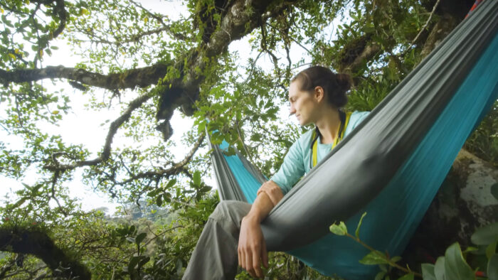 a man sits in a hammock high in the canopy