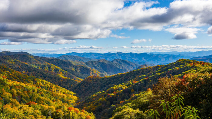 a landscape shot of the great smoky mountains