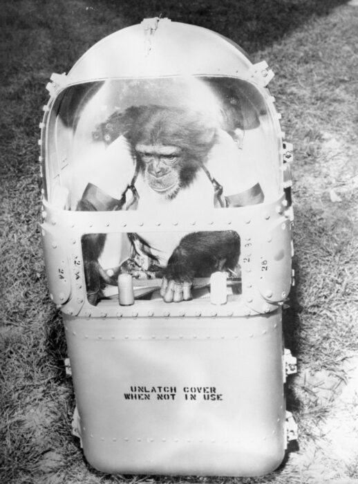 chimp inside a small container with two windows, black and white