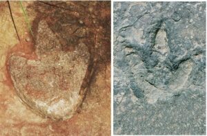 dinosaur prints