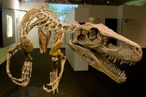 one of the oldest dinosaur families, the Herrerasaurus