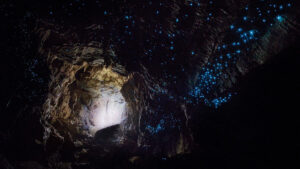 the Waitomo Glowworm Caves