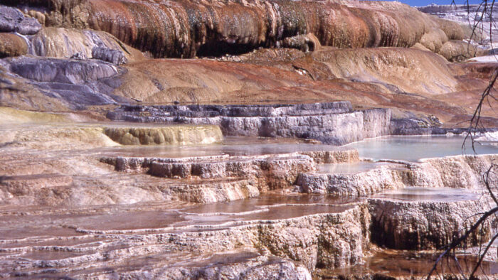 Mammoth Hot Springs, Yellowstone National Park