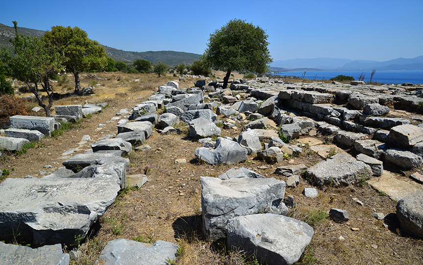 archaeological site where coins were found