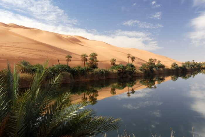 An oasis in Libya. 