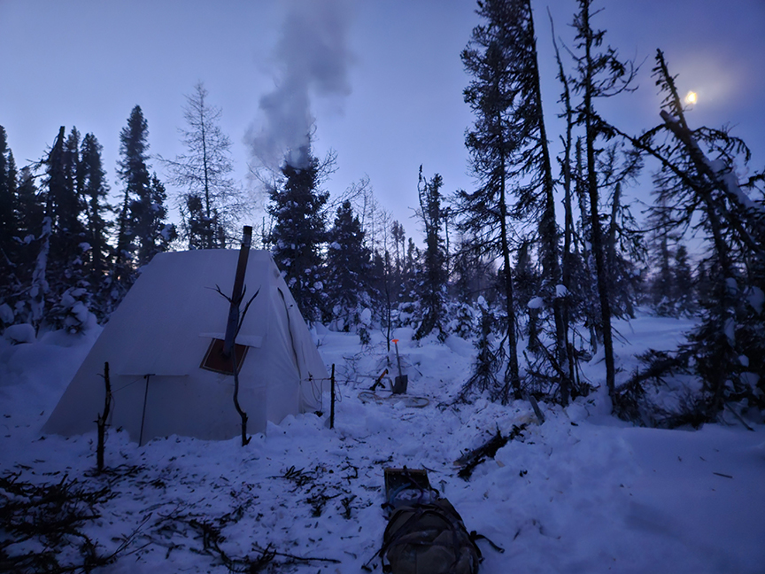 bush tent at night