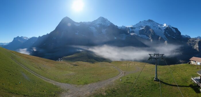 a dustcloud on a grassy meadow, mountains in background