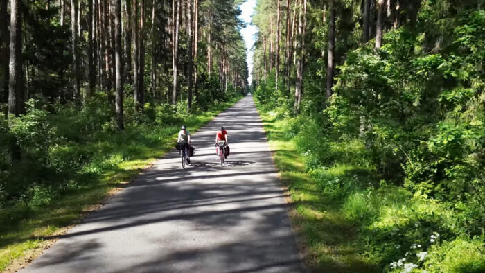 two cyclists ride a forest road