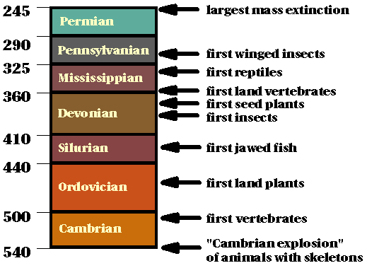 A diagram showing the periods of the Paleozoic Era. Cambrian is first, at the bottom, followed by Ordovician. 