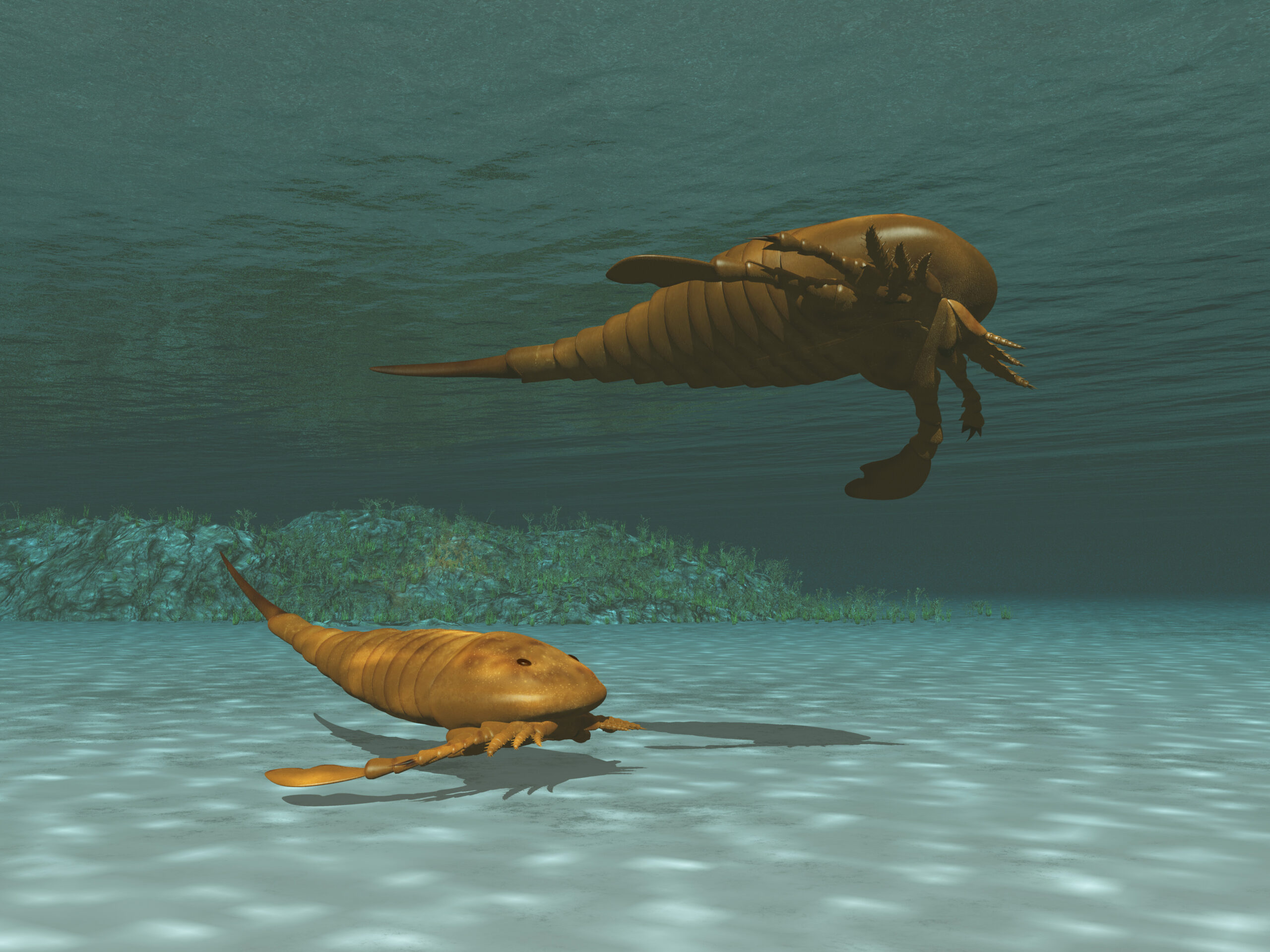 giant sea scorpions