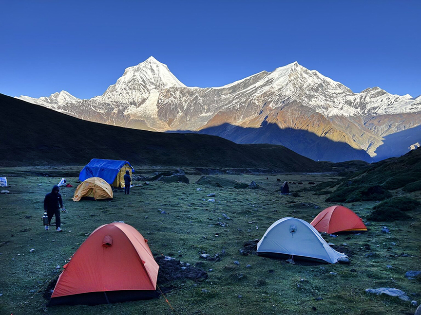 Some tents on a meadow with snowy peaks in background.