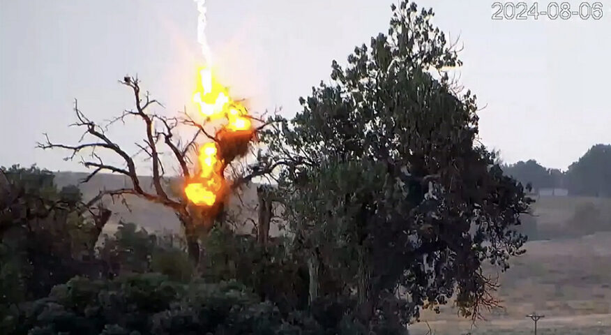an eagle's nest explodes in a fireball when struck by lightning