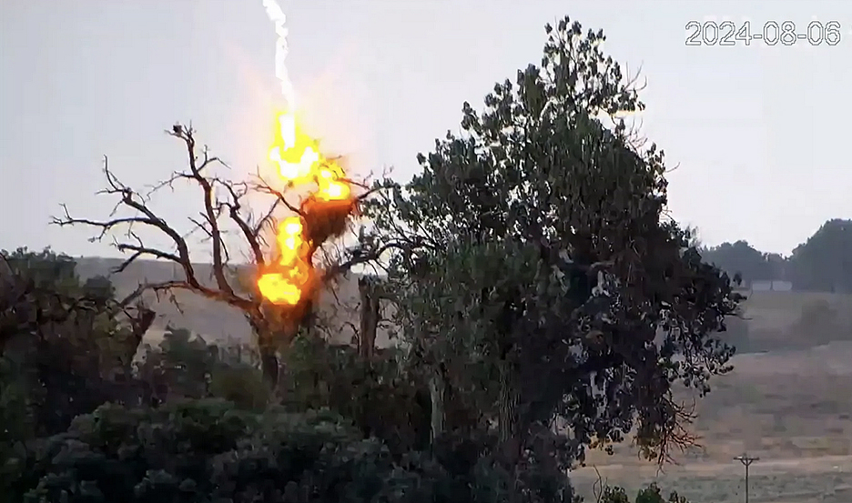 an eagle's nest explodes in a fireball when struck by lightning