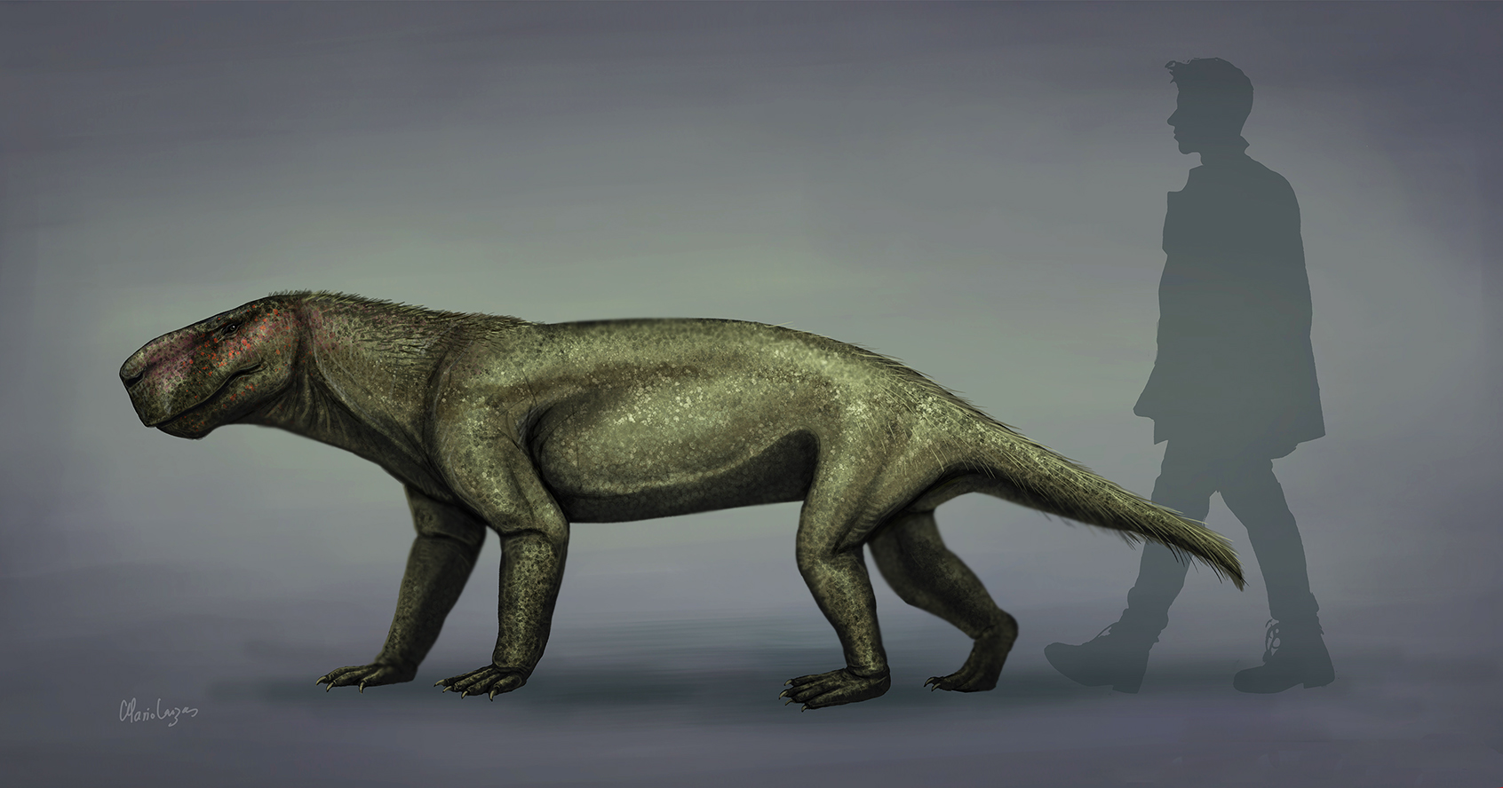 Illustration of a reptilian beast with four legs and an elongated snout. It stands next to a human at about half the human's height but much longer than the human is tall.