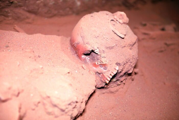 A human skull found beneath The Treasury in Petra. 