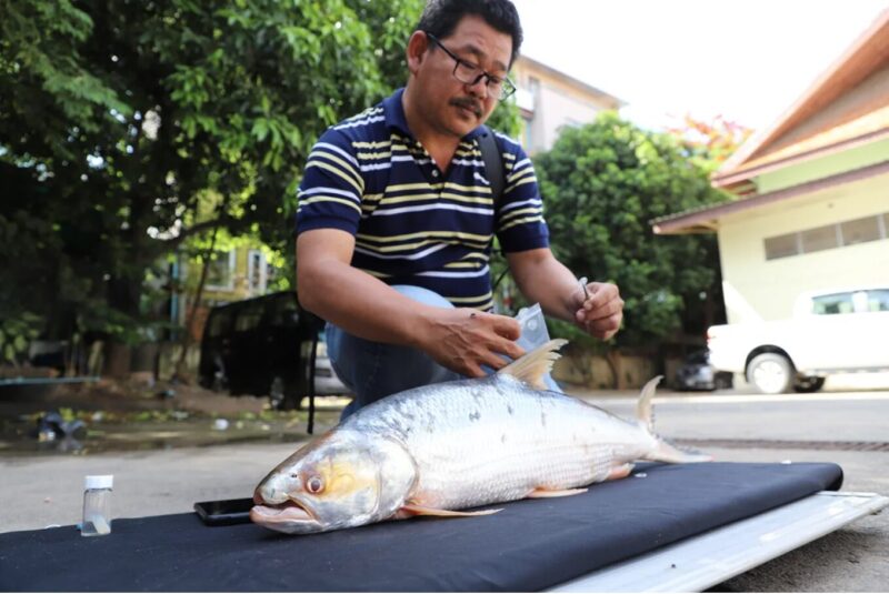 fish on a table with fisherman over it