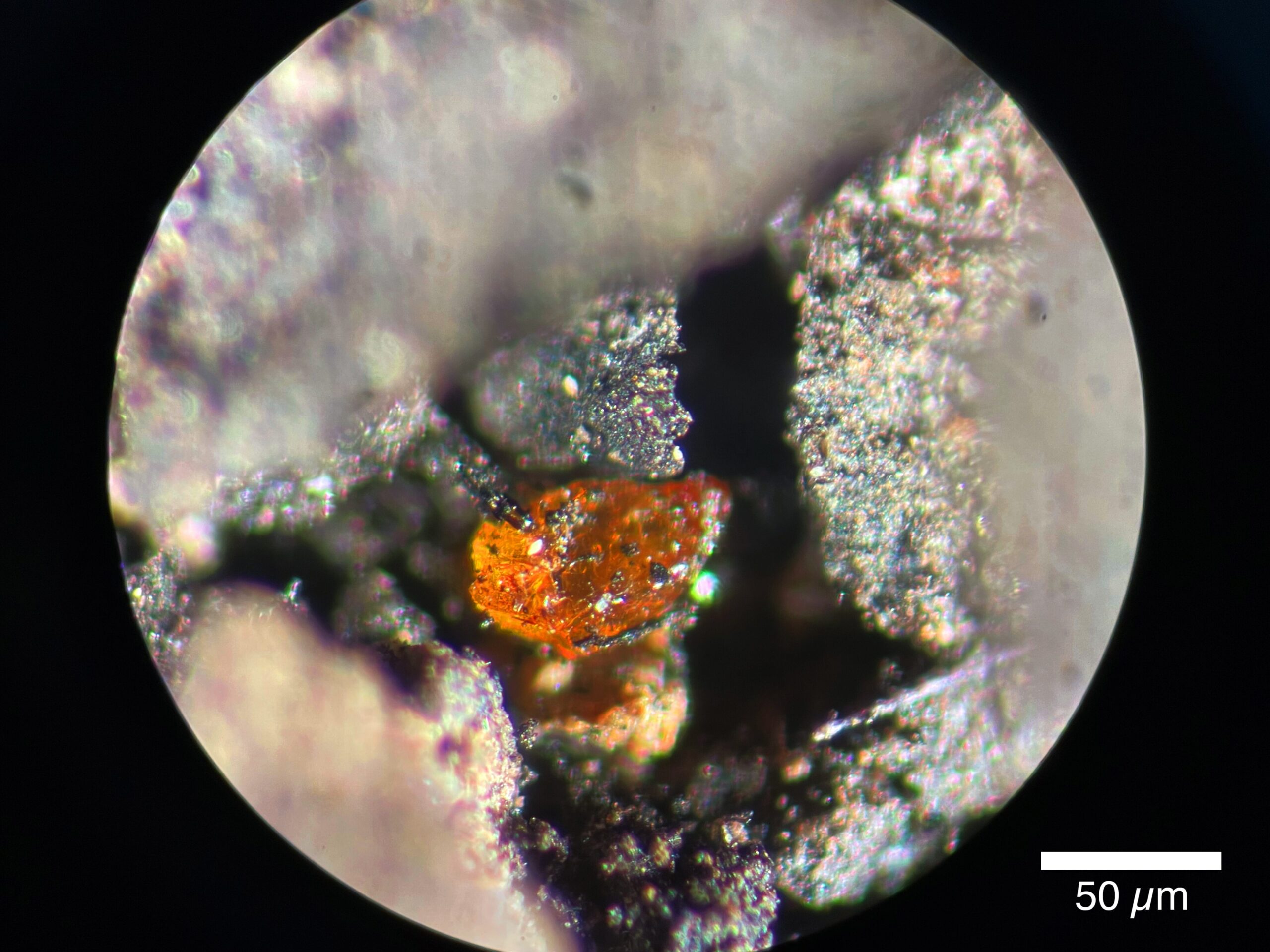 a photo of a golden amber sample in rock