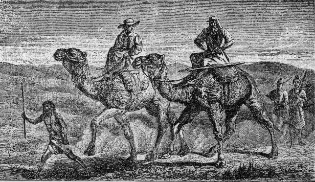 an illustration of a man and woman on camelback