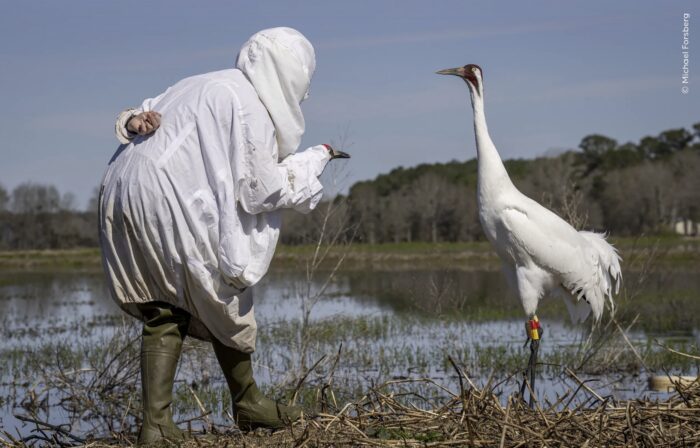 a man approaches a crane