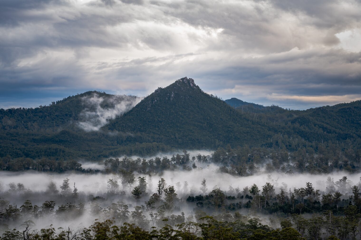 A misty forest with mountains.