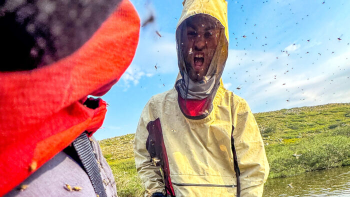 a man in a bug net is surrounded by insects