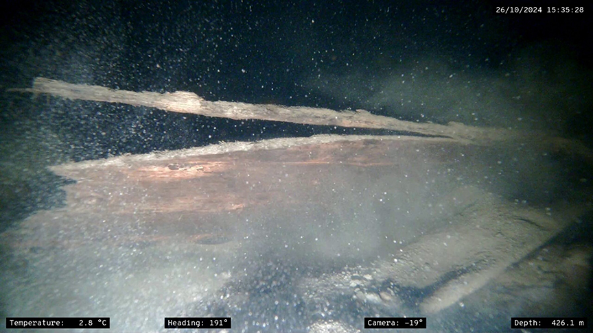 The wooden side of an underwater wreck.